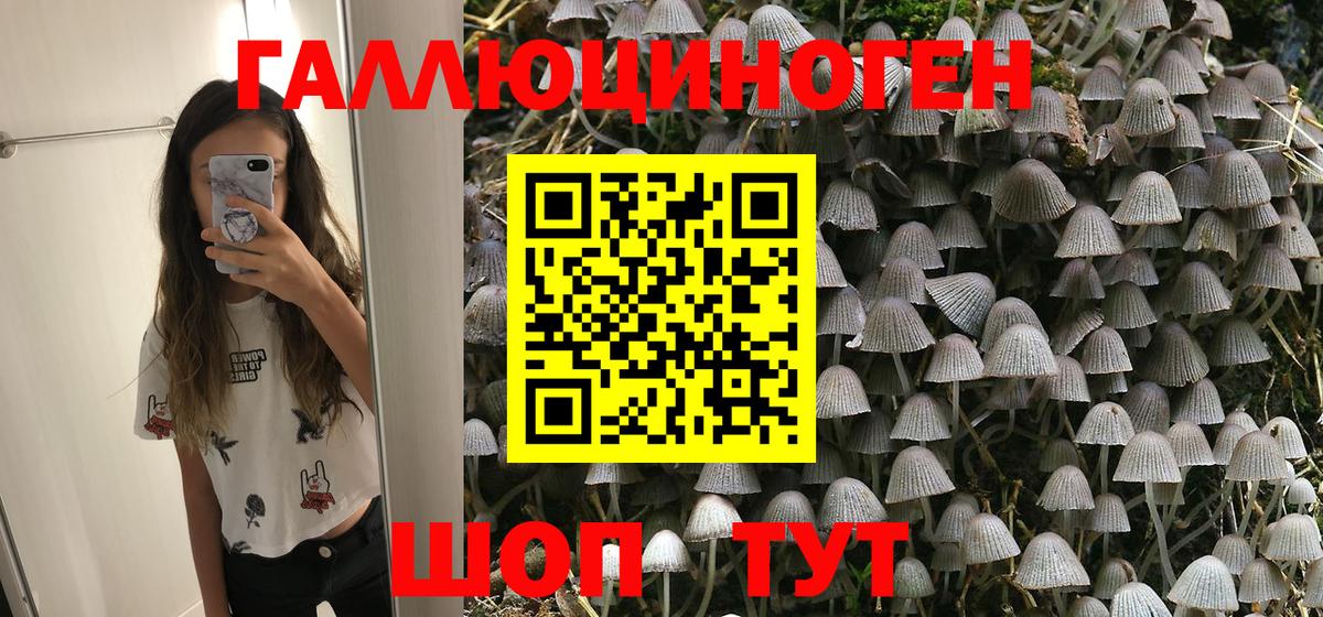 Бор  Галлюциногенные грибы Magic Shrooms  Псилоцибиновые грибы GOLDEN TEACHER  Вход с VPN 